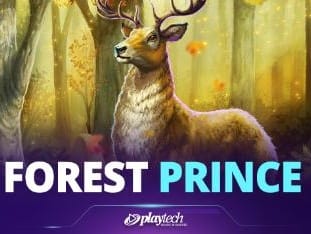 Forest Prince™